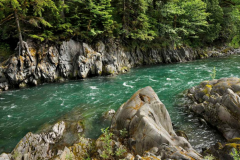 Quinault River Restoration Project