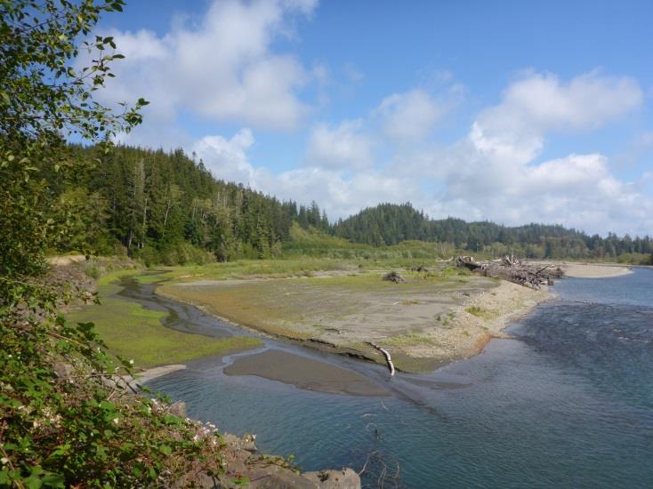 Queets-River-Side-Channel
