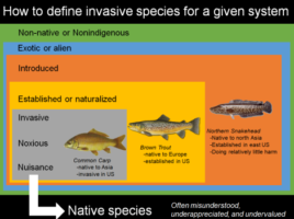 Species Invasions | Quinault Division of Natural Resources