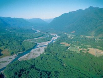 Upper Quinault River Restoration